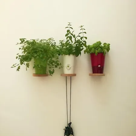Le Luminarie - Creative Apartment